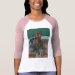 Ladies 3/4 Sleeve Raglan (Fitted)