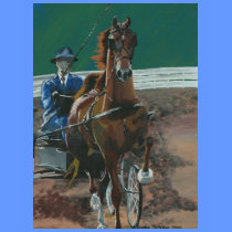 American Saddlebred - Fine Harness t-shirts
