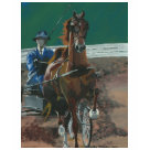 ladies_fitted_babydoll - American Saddlebred mare shown here in the Fine Harness.  The artwork is an original acrylic by Brooke Schafer.  Brooke is painting her love of horses as a means to put her through college at the University of Kentucky.  Hope you enjoy!