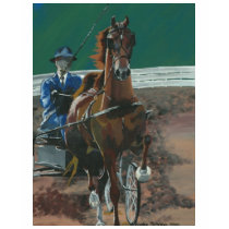 American Saddlebred - Fine Harness t-shirts
