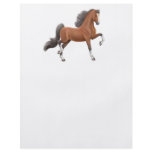 American Saddlebred Flyer