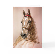 American Saddlebred Horse Greeting Cards