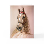 American Saddlebred Horse cards