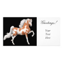American Saddlebred Horse Photo Card