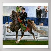 American Saddlebred Horse Portrait Poster