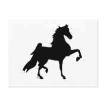 American Saddlebred Horse postcards by suziec American Saddlebred Horse postcards