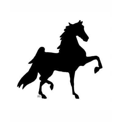 American Saddlebred Horse T-shirts by suziec