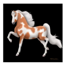 American Saddlebred Paint Horse Print