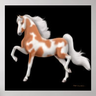 American Saddlebred Paint Horse Print