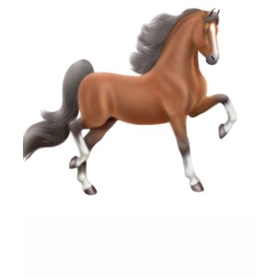 American Saddlebred Petite T-Shirt by twopurringcats