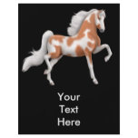 American Saddlebred Pinto Horse Flyer