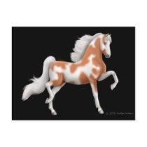 American Saddlebred Pinto Horse Postcard by twopurringcats American Saddlebred Pinto Horse Postcard