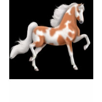 American Saddlebred Pinto Petite T-Shirt