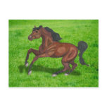 American Saddlebred Postcard