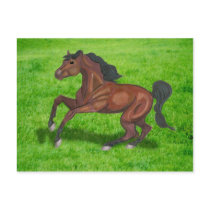 American Saddlebred Postcard by starhorsepax American Saddlebred Postcard
