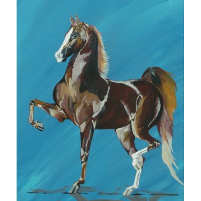 American Saddlebred T Shirt by BaSparkle26