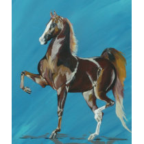 American Saddlebred t-shirts