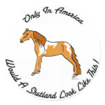 American Shetland Round Sticker