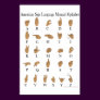 American Sign Language ASL Alphabet Poster