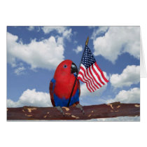 American Spirit cards