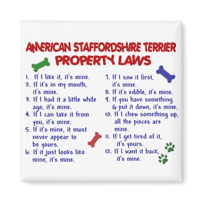 AMERICAN STAFFORDSHIRE Property Laws 2 Refrigerator Magnet by poochloverstuff