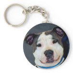 American Staffordshire Terrier-Am Staff Photo Keychains