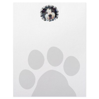 American Staffordshire Terrier-Am Staff Photo Customized Letterhead by FCACshelter