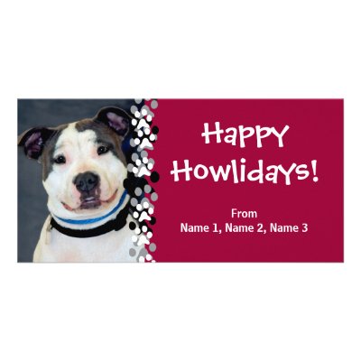 American Staffordshire Terrier-Am Staff Photo Photo Card Template by FCACshelter