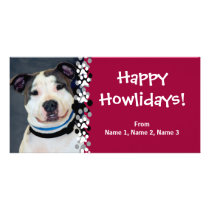 American Staffordshire Terrier-Am Staff Photo Photo Card Template