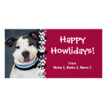 American Staffordshire Terrier-Am Staff Photo Photo Card Template