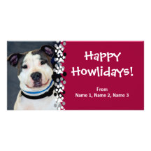 American Staffordshire Terrier-Am Staff Photo Photo Card Template