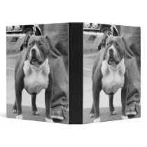American Staffordshire Terrier Binder