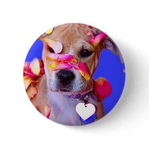 American Staffordshire Terrier Boxer Mix Puppy Dog buttons by KahunaLuna American Staffordshire Terrier Boxer Mix Puppy Dog buttons