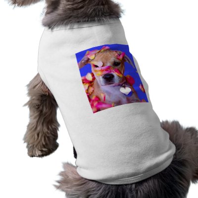 American Staffordshire Terrier Boxer Mix Puppy Dog Pet Tee Shirt by KahunaLuna