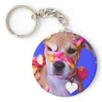 American Staffordshire Terrier Boxer Mix Puppy Dog Key Chains