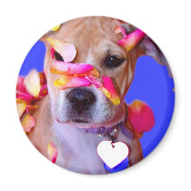 American Staffordshire Terrier Boxer Mix Puppy Dog Fridge Magnet