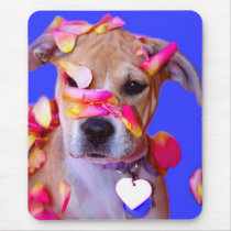 American Staffordshire Terrier Boxer Mix Puppy Dog Mouse Pad