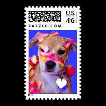 American Staffordshire Terrier Boxer Mix Puppy Dog Postage