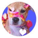 American Staffordshire Terrier Boxer Mix Puppy Dog stickers