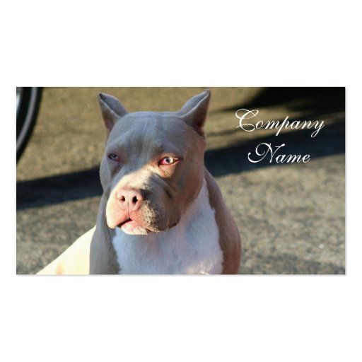 American Staffordshire Terrier Business Cards