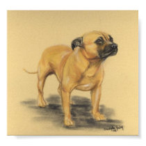 "American Staffordshire Terrier" Dog Art Print by CharlottesWebArt "American Staffordshire Terrier" Dog Art Print