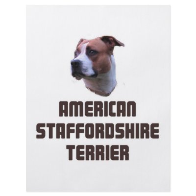American Staffordshire Terrier Flyers by bartstshirts