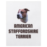 American Staffordshire Terrier Flyers