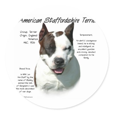 American Staffordshire Terrier History Design Round Stickers by GreyWolfCreation