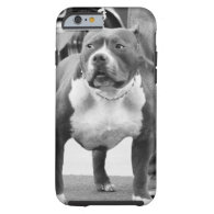 American Staffordshire terrier iPhone 6 Case