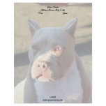American Staffordshire Terrier Letterhead