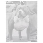 American Staffordshire Terrier Letterhead