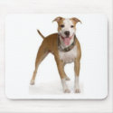 American Staffordshire Terrier Mousepad