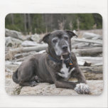 American Staffordshire Terrier - Mousepad