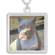 American Staffordshire Terrier necklace